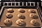 Chocolate Chip Cookies Baking in Oven