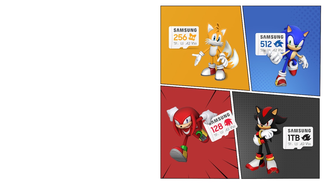 Sonic the HedgehogTM PRO Plus MicroSD Cards