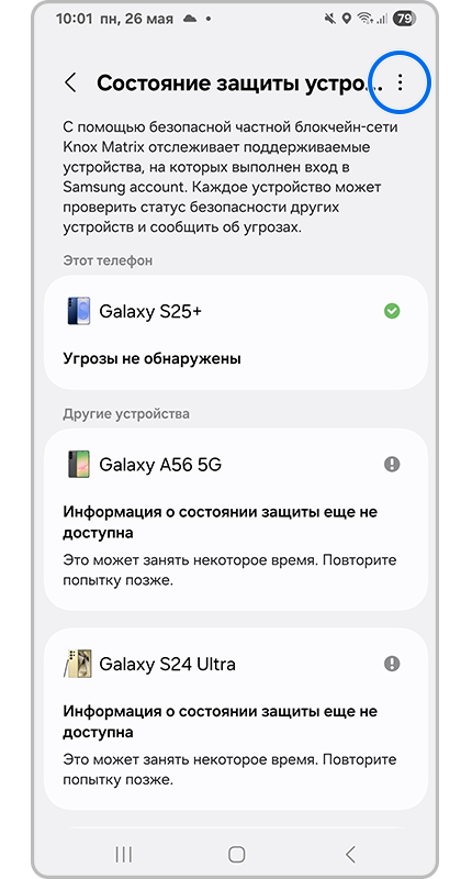 Окно состояния защиты устройств.