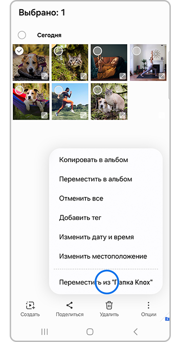 перенести фотографию из папки Knox