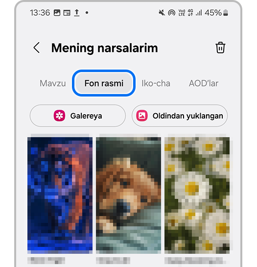 Fon Rasmi Yorlig'i