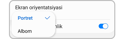 Ekran oriyentatsiyasi