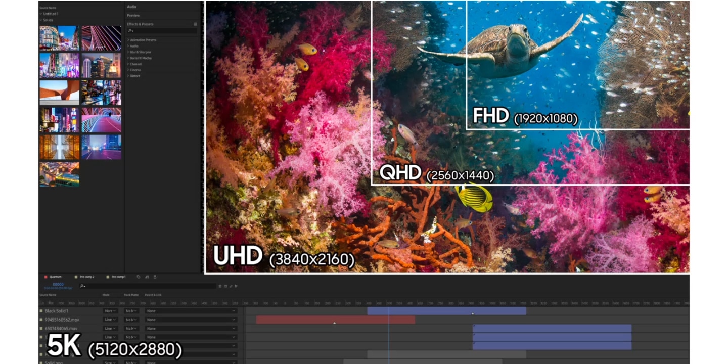 Ở độ phân giải FHD (1920x1080), hình ảnh chỉ thể hiện một con rùa đang bơi cạnh rạn san hô. Khi nâng lên QHD (2560x1440), nhiều rạn san hô hơn xuất hiện xung quanh con rùa, còn ở UHD (3840x2160), cảnh vật được bổ sung thêm các đàn cá bơi gần đó, tạo cảm giác sinh động hơn. Khi đạt tới độ phân giải 5K (5120x2880), khung hình được thu nhỏ để hiện rõ giao diện của một ứng dụng chỉnh sửa video.