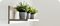The green pots placed on a shelf represent the spirit of the relentless pioneer who impacts lives through the everyday.