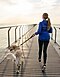 Rearview of a woman walking her dog on a bridge in the morning
