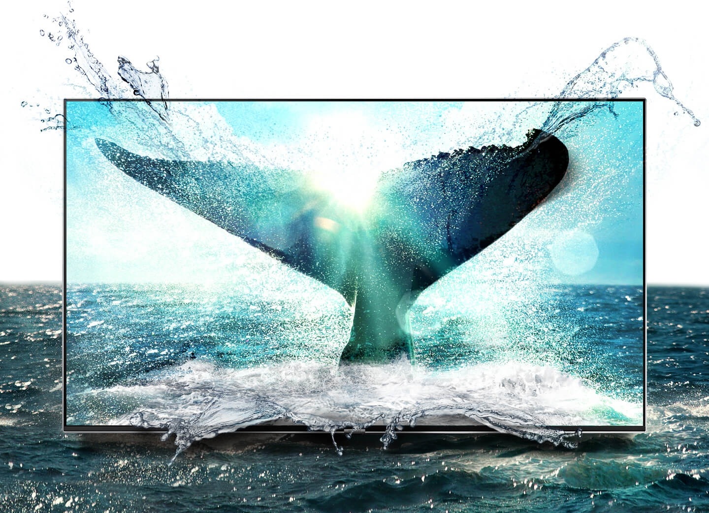 Jasný a živý obrázek velrybího ocasu na Samsung SUHD TV obrazovce.