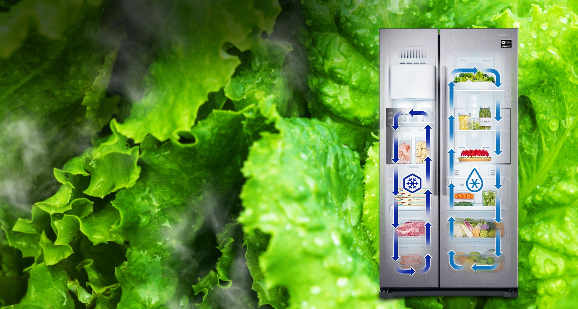 Samsung Refrigerator 24 Feet Twin Cooling Digital RS53K4600