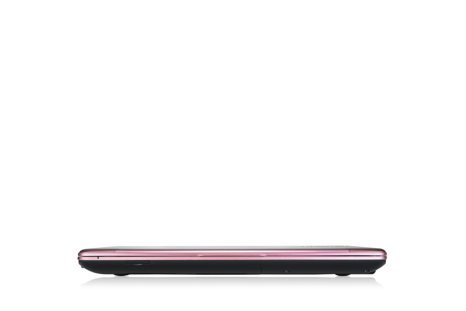 NP500P4C 49 Front Pink
