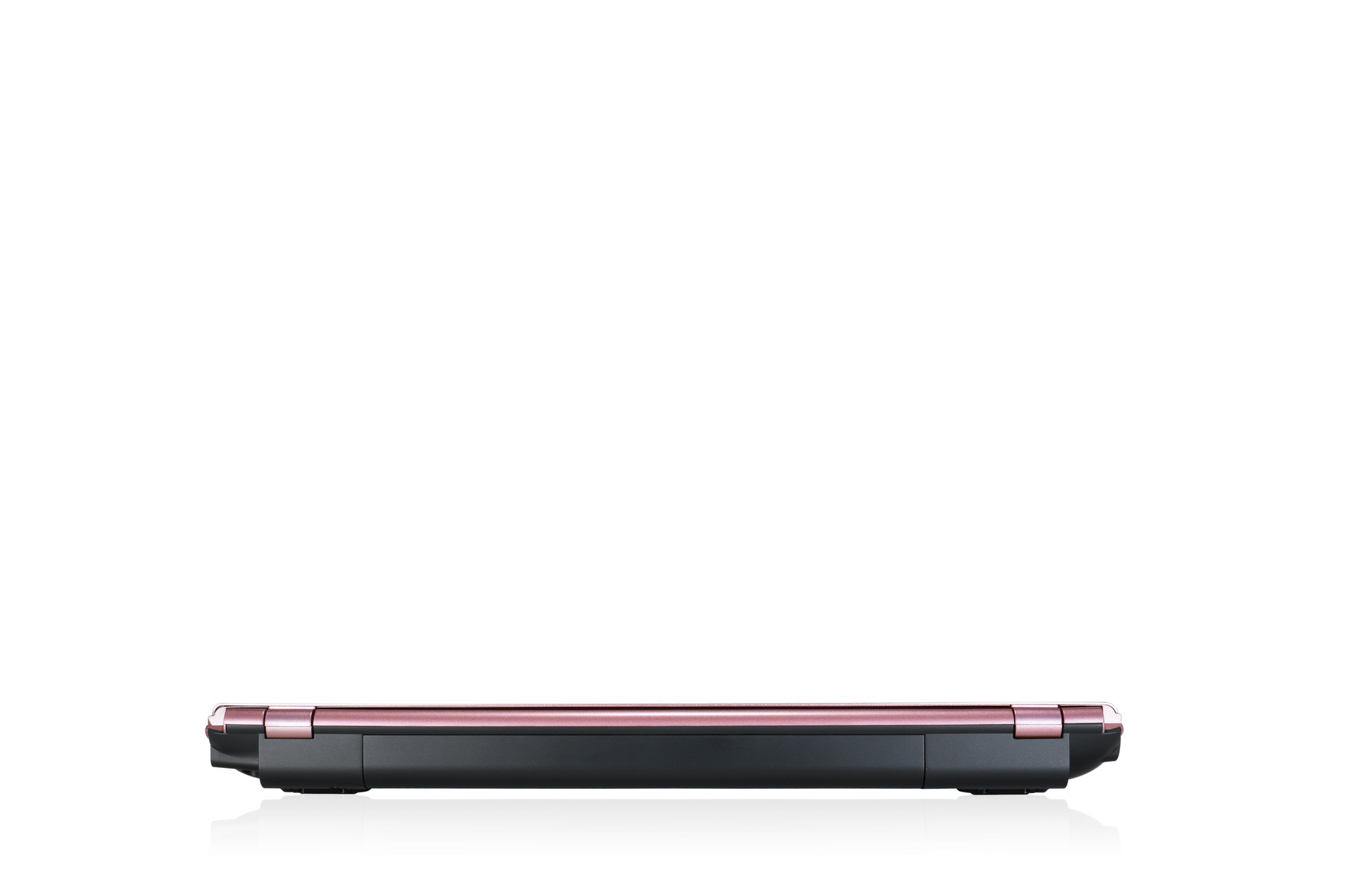 NP500P4C 52 Back Pink