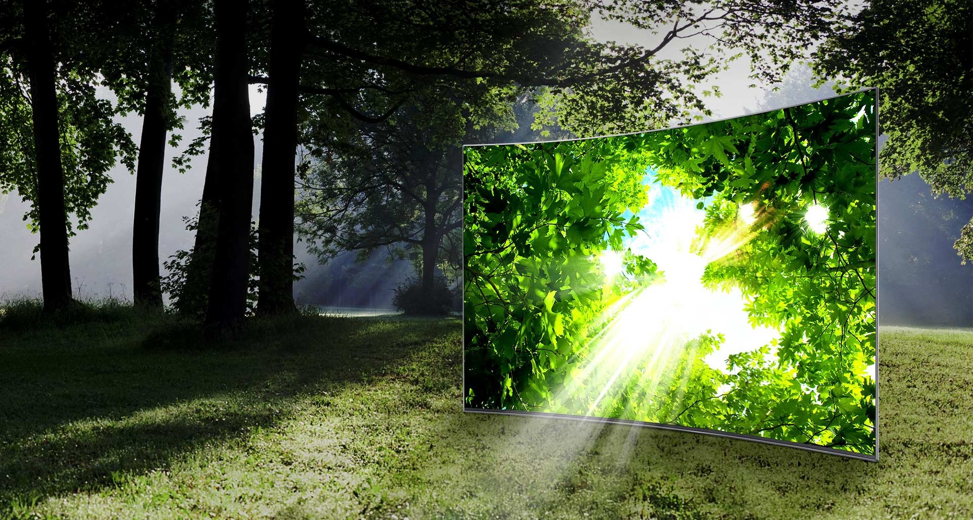 Grâce à la technologie HDR Premium, vous pouvez découvrir des détails que vous n'aviez jamais vus auparavant, cachés dans les zones les plus lumineuses de l'écran, lorsque vous regardez des contenus HDR. Profitez enfin d'une véritable expérience HDR, digne d'une salle de cinéma, sans quitter votre salon.