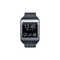 SM-R381 Standard Black