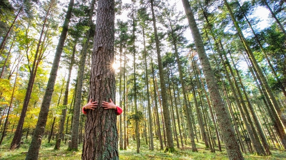 7 effortless ways to be eco-friendly today