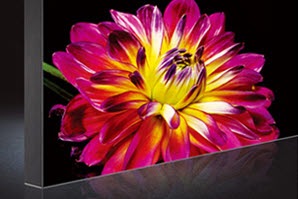 The Wall cabinet showing a vibrant, detailed image of a pink and yellow flower