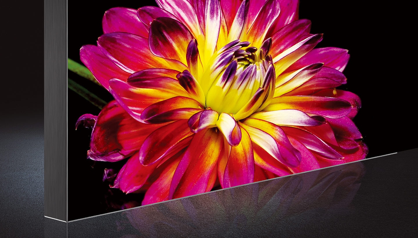 The Wall cabinet showing a pink and yellow folower image with vibrant colors