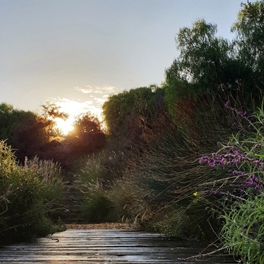 Learn how to capture the Magic Hour Effect with a tripod and Auto Mode