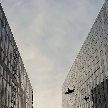 Learn how to point your camera skyward to find beauty between the buildings with Auto Mode