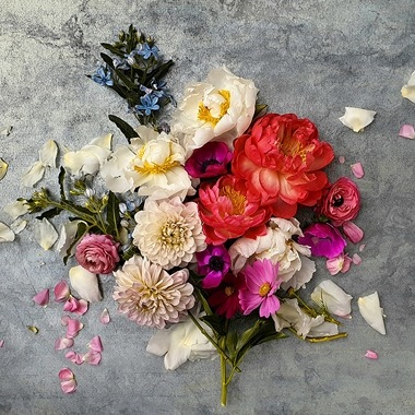 Learn how to make the petals pop in your flower photos with Scene Optimizer’s Flower mode