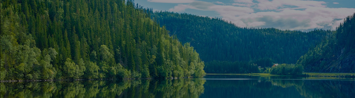 Une image visuelle clé de la page Changement climatique
