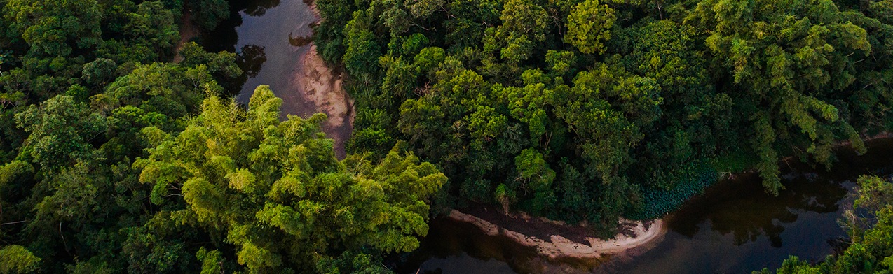 Imagem visual principal da página Acção climática
