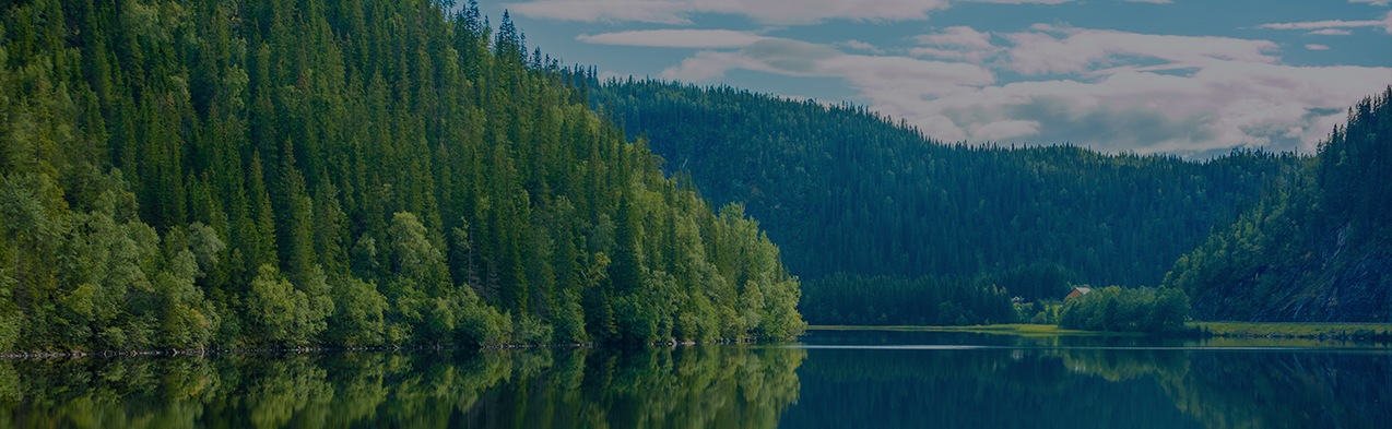 Uma imagem visual chave da página de Acções Climáticas