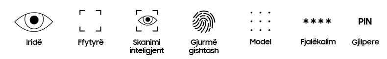 Iridë, Ffytyre, Skanimi inteligjent, Gjurme gishtash, Model, Fjalekalim, Gjilpere