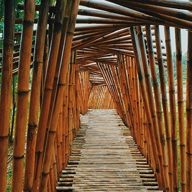 Fotografía tomada con Galaxy por el usuario de Instagram @adiheikal que muestra la entrada a un pasillo hecho de bambú