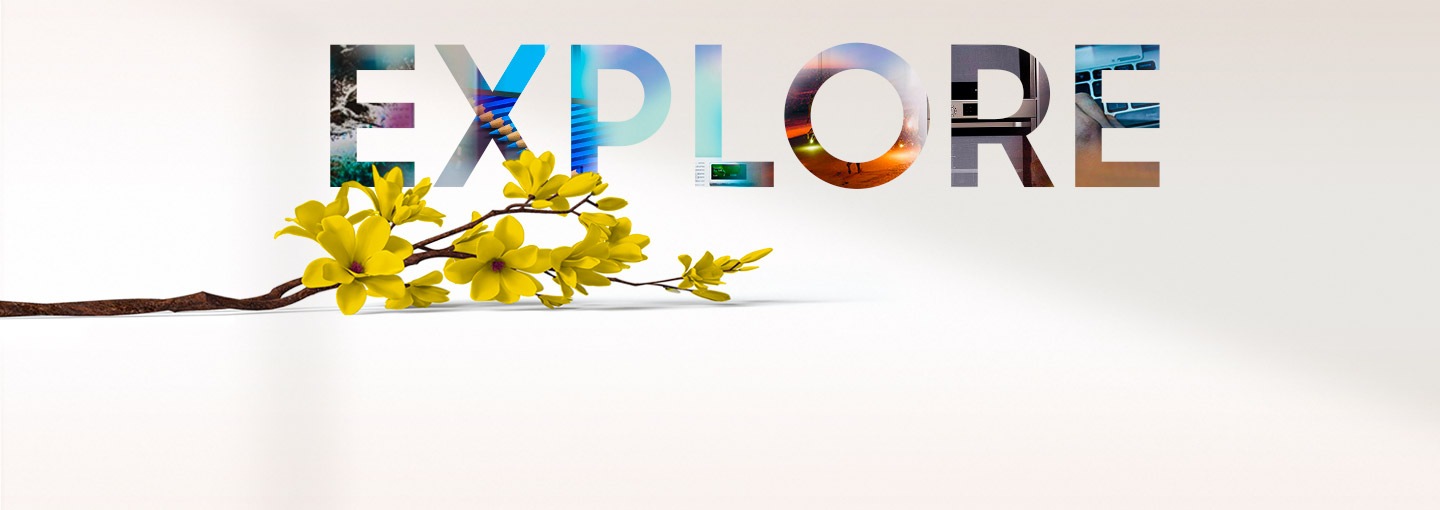 Explore Explore Visual