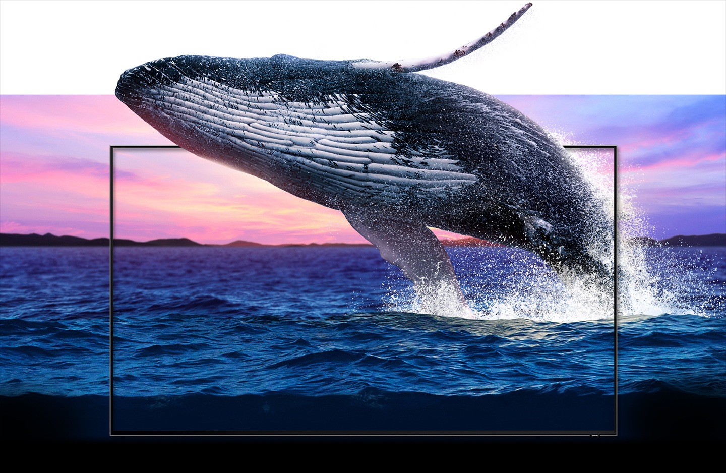 Betreten Sie eine Welt ultrascharfer Auflösung mit QLED 8K.
