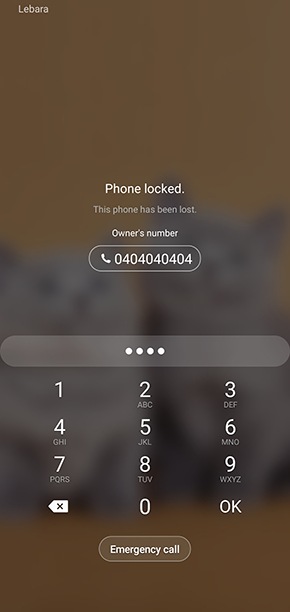 Unlocking phone using PIN