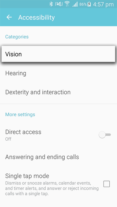 Select the Vision option