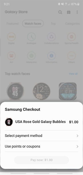 enter in your payment details