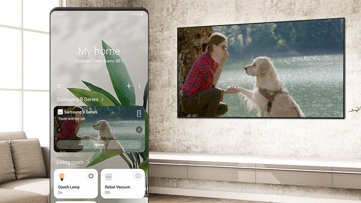 An image showing a video of a woman communicating with a dog being displayed on the TV hanging on the wall of the living room. The same image displayed on the TV screen is also shown on the SmartThings app.