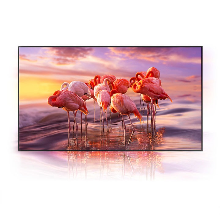 A simulated image on tv showing a group of swan