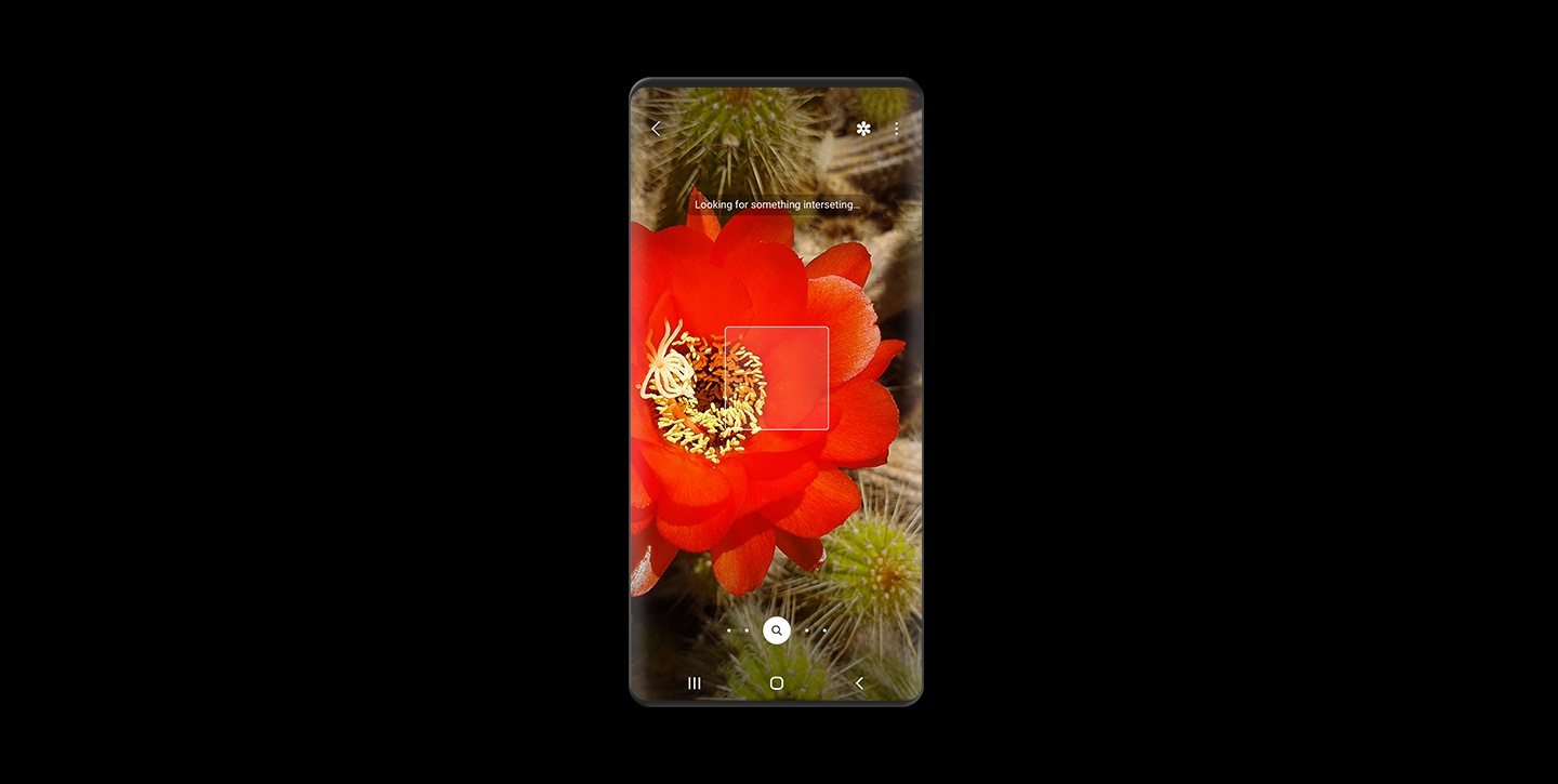 Een schermafbeelding waarin een rode bloem wordt gescand met de lensfunctie van Bixby Vision.