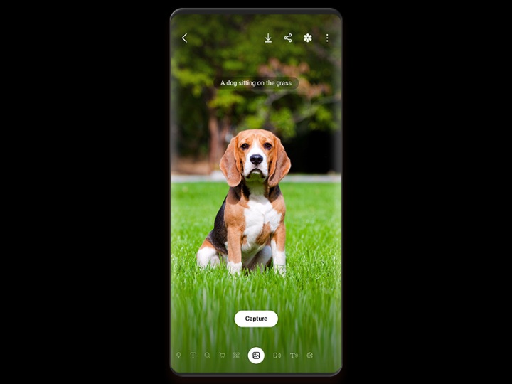 Bixby Vision beschrijft vocaal een afbeelding van een hond die op gras zit.
