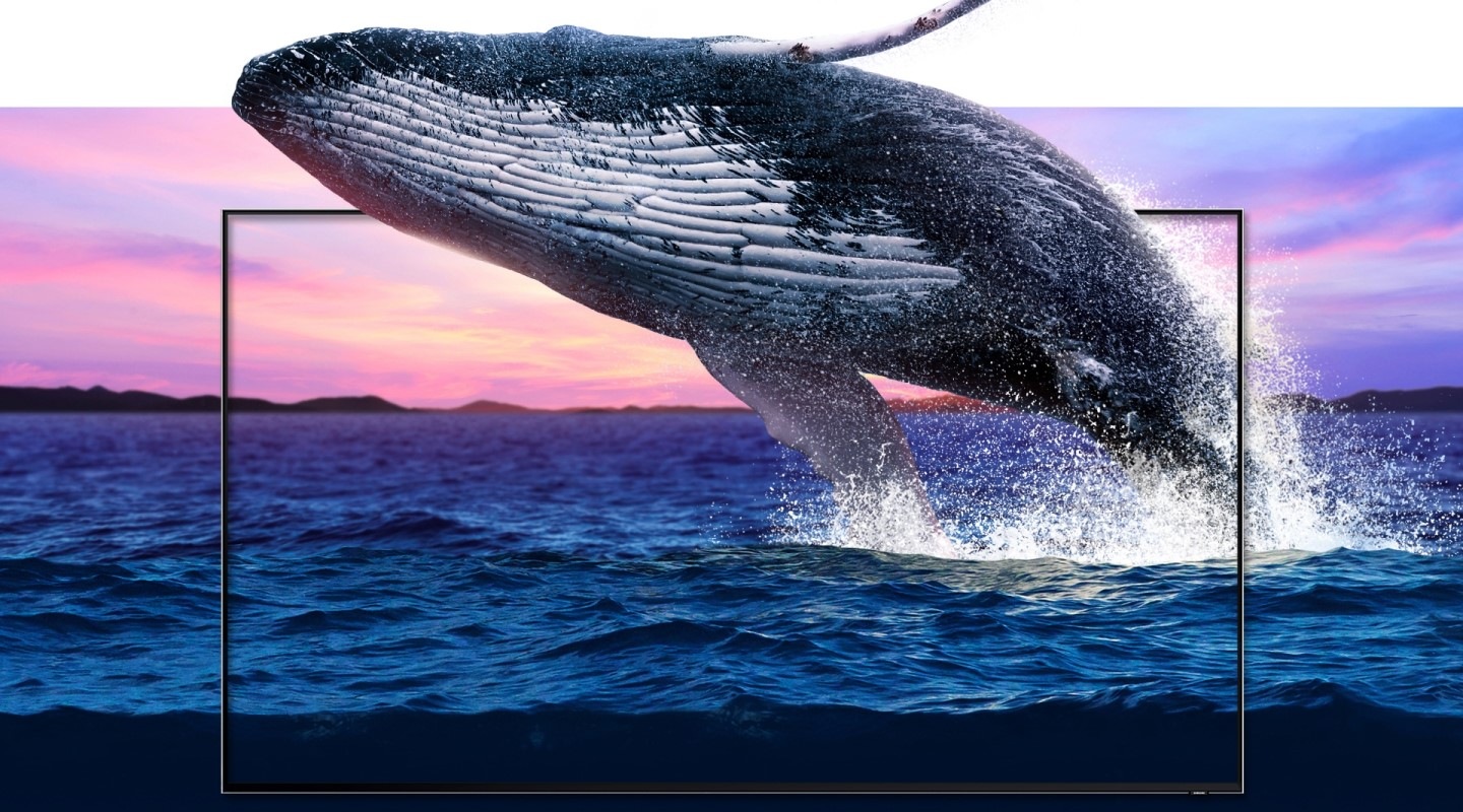 Een orka springt uit een TV-scherm
