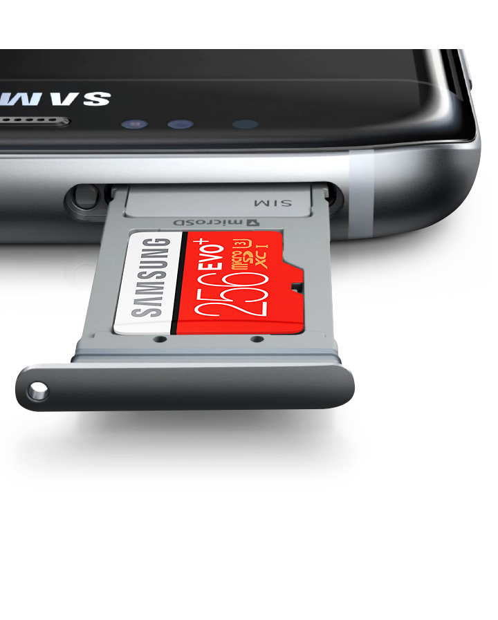 microSD EVO Plus 256GB