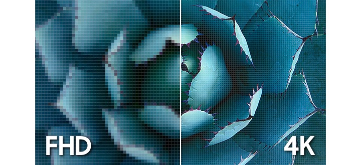 Een TV met een groot scherm toont een close-up van een vetplant met een verticale lijn midden op het scherm. Links is de vetplant te zien in FHD-beeldkwaliteit en zijn de pixels duidelijk zichtbaar. Rechts zijn de bladen helder en duidelijk te zien in een 4K-resolutie.