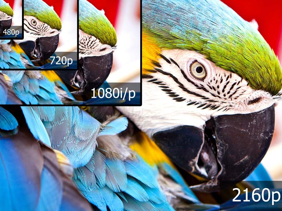 uhd, samsung, samsung tv, uhd tv uhd, samsung, samsung tv, uhd tv