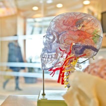 Communication en pleine santé dans votre hôpital
