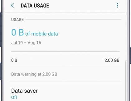Monitor Data Usage