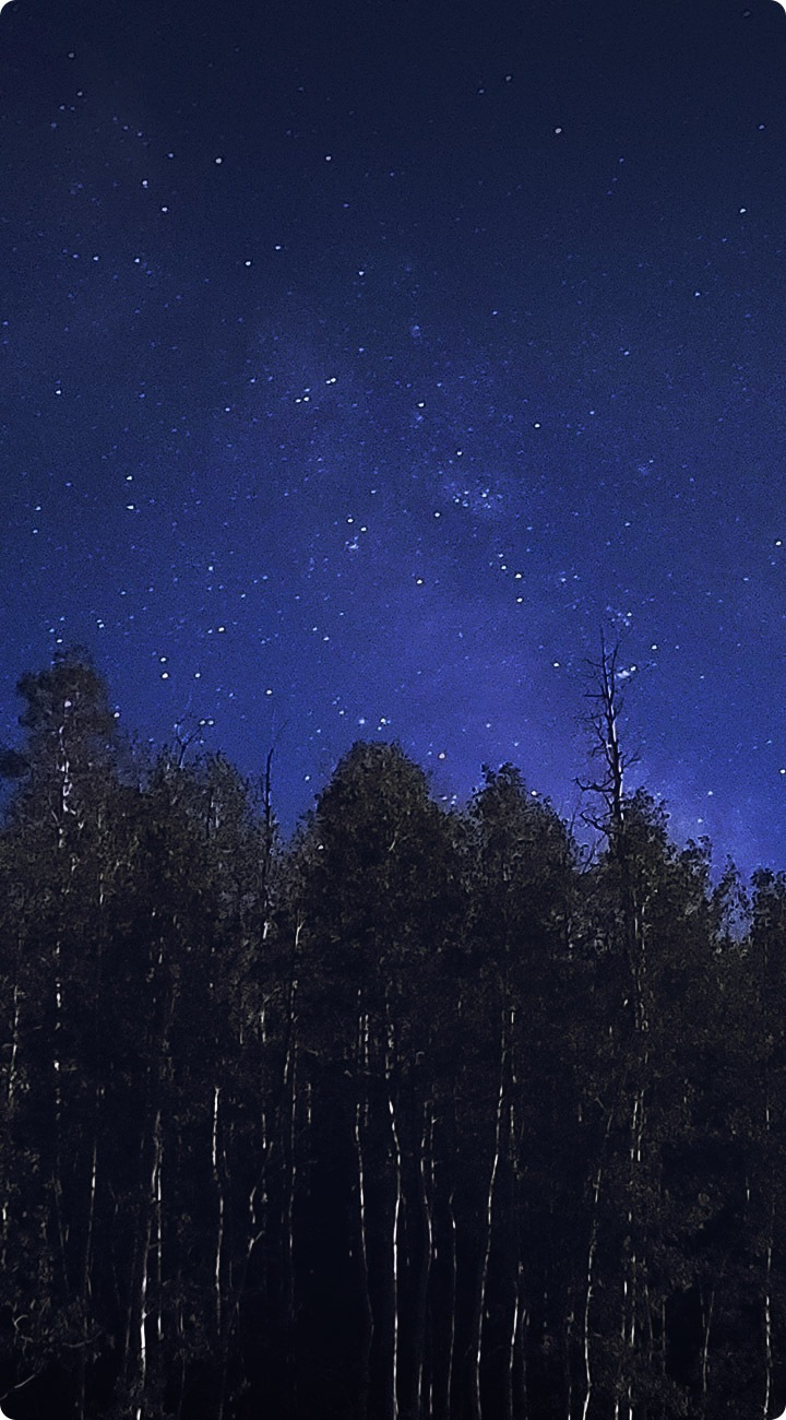 unlimiting-experience Plusieurs arbres forment un avant-plan contre un grand ciel étoilé.