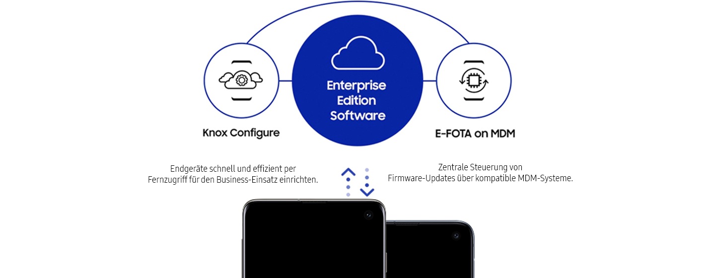 Enterprise Edition Software