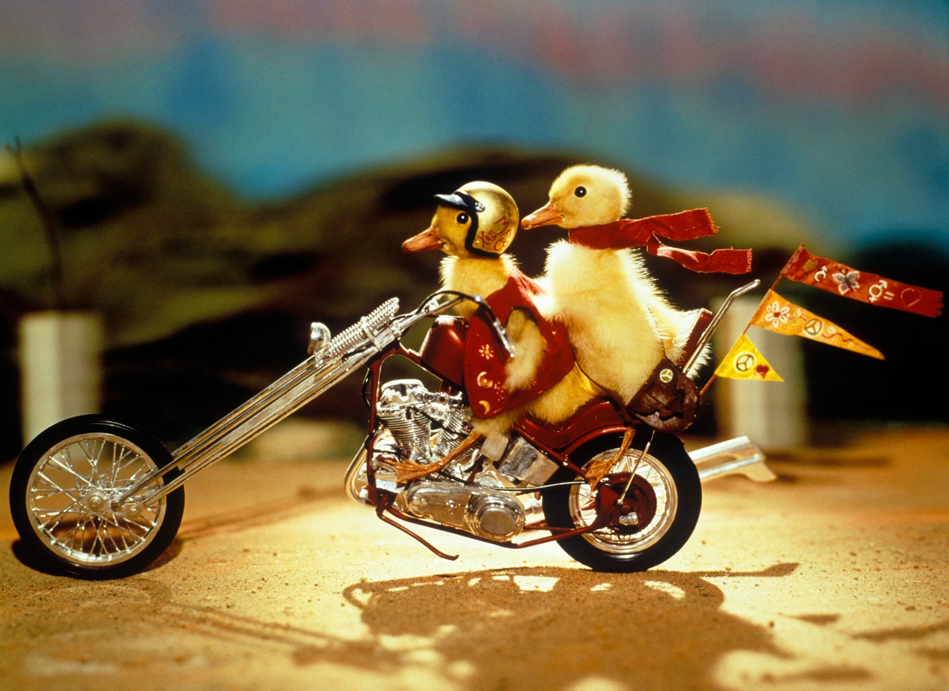 4. Nichts für lahme Enten!