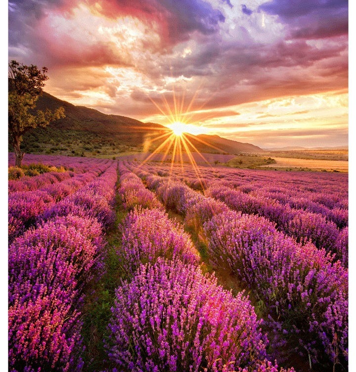 Image représentant l'affichage LED