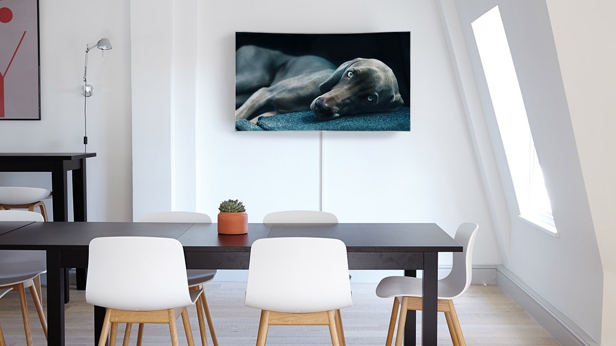 Der Unterschied zwischen QLED und OLED Der Unterschied zwischen QLED und OLED