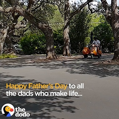 Video Super Slow-mo de The Dodo filmado en un Galaxy para el Día del Padre. Muestra a un hombre que conduce una motocicleta con un sidecar y tres perros con gafas montados en él. El video Super Slow-mo comienza cuando los perros pasan por delante.