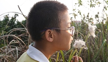集善•三星“爱之光”
