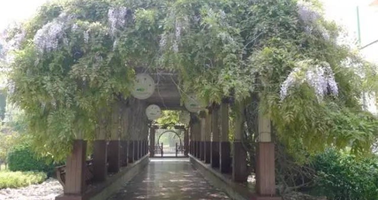 三星中央空调倾情打造休假疗养新模式,入驻济南军区青岛第一疗养院
