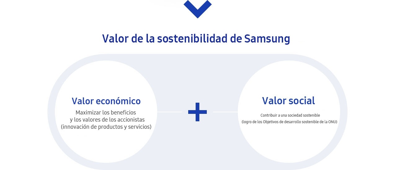 Valor de la gestión de la sostenibilidad.